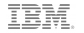 IBM IBM